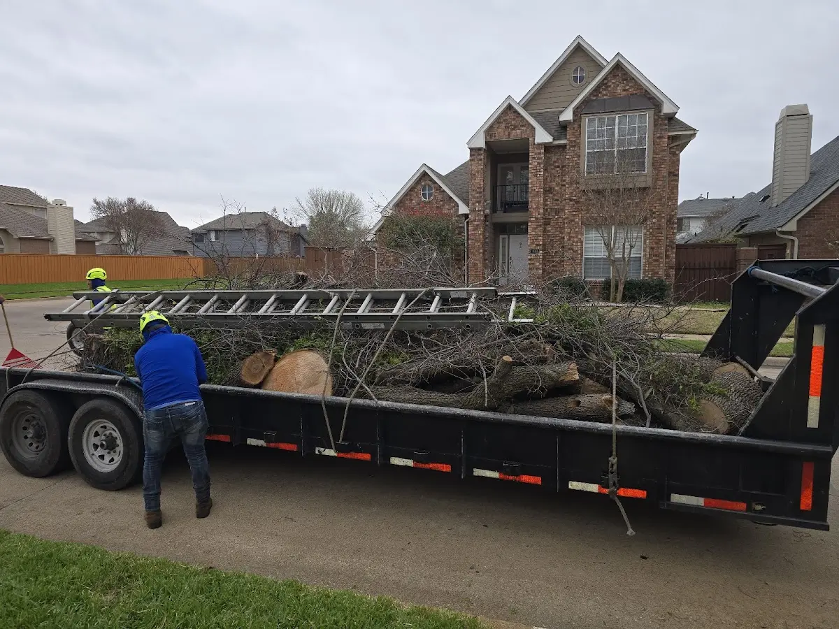Expert Tree Removal with proper safety equipment in Hettick